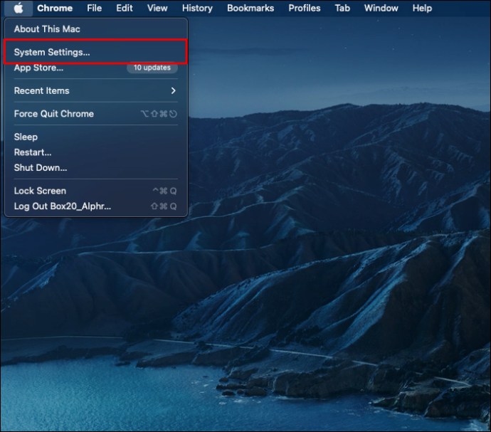 Selecting System Settings... from the Apple menu in macOS