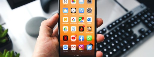 person holding an iPhone
