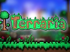 Terraria Cover Image