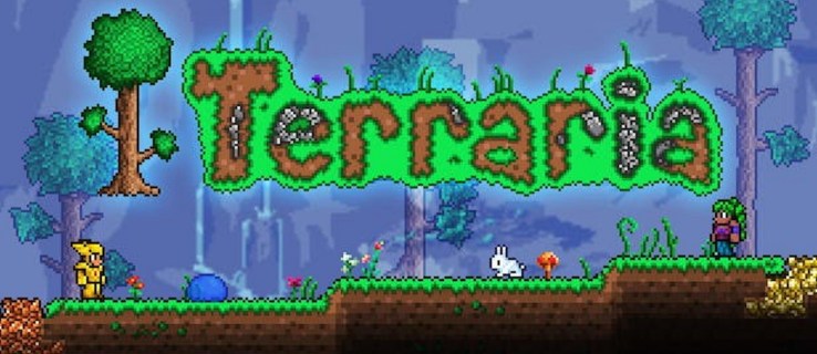 Terraria Cover Image