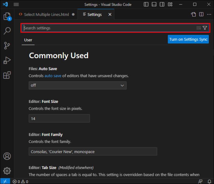Highlighting the Search bar in the Visual Studio Code Settings