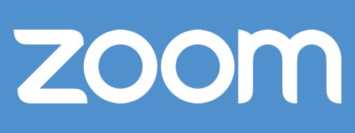 webcam not working on zoom