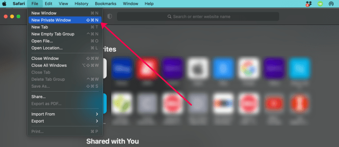New Private Window option in Safari on a desktop.